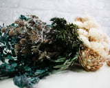 Royal Rosemary Bouquet Kit - Sola Wood Flowers