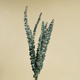 Satin Washed Eucalyptus (Kelly Green) - Sample - Sola Wood Flowers
