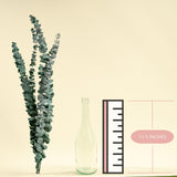 Satin Washed Eucalyptus (Kelly Green) - Sample - Sola Wood Flowers