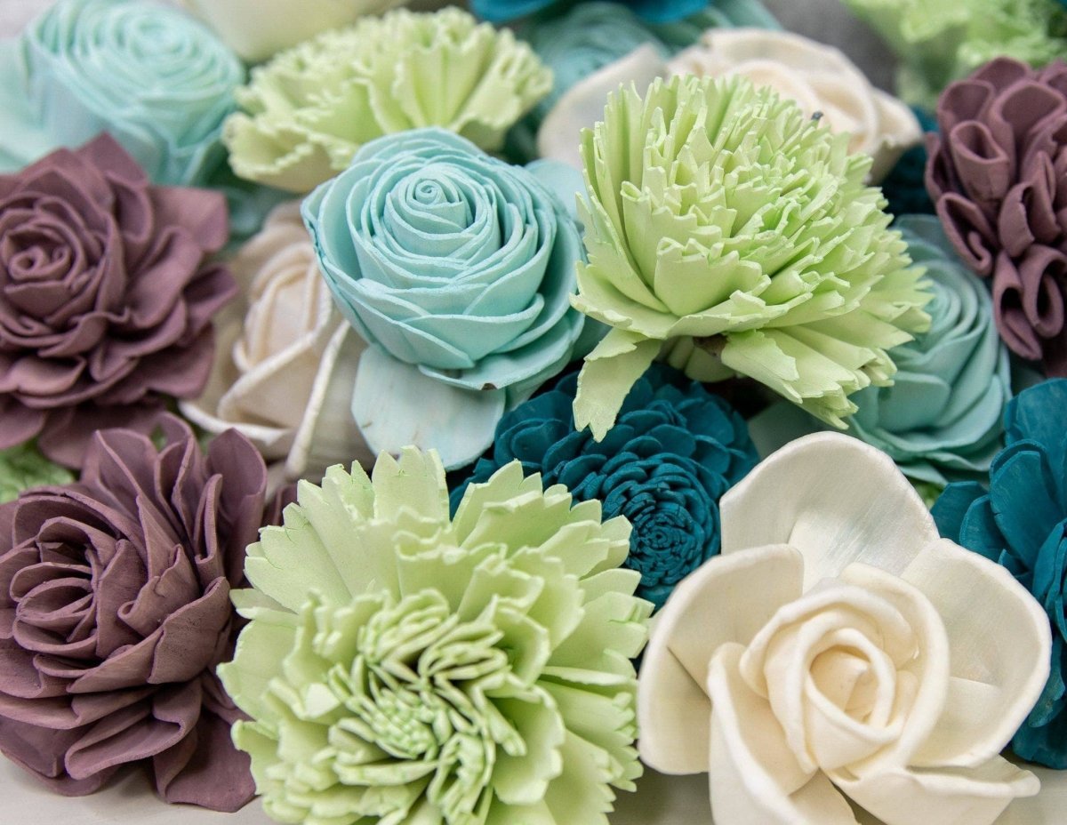 so succulent So Succulent Assortment