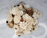 Sola Harvest Assortment (50 Flowers) - Sola Wood Flowers