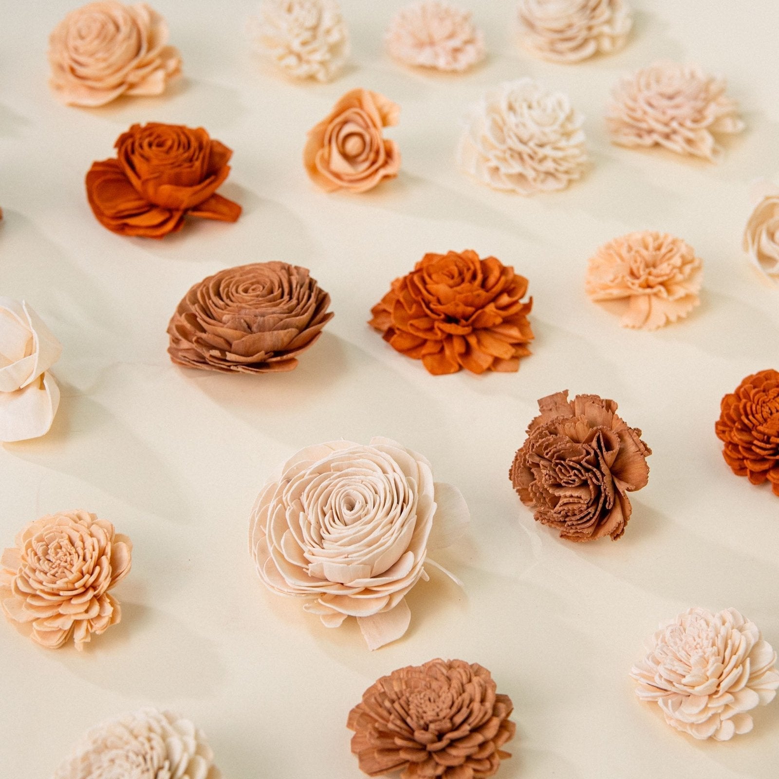 Sun Kissed Dyed Assortment 25 Pack - No Bark – Sola Wood Flowers