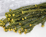 Sunny Bouquet - Sola Wood Flowers